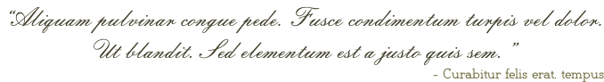 “Aliquam pulvinar congue pede. Fusce condimentum turpis vel dolor. Ut blandit. Sed elementum est a justo quis sem.” - Curabitur felis erat, tempus