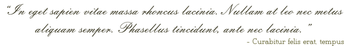 “In eget sapien vitae massa rhoncus lacinia. Nullam at leo nec metus  aliquam semper. Phasellus tincidunt, ante nec lacinia.” - Curabitur felis erat, tempus